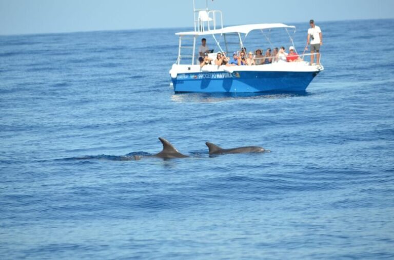 Alghero: Dolphin Watching Tour with Marine Biologists - The Sum Up