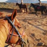 Alghero: Guided Horseback Ride at Lake Baratz & Porto Ferro - What Makes This Tour Stand Out?