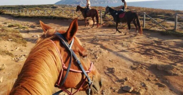 Alghero: Guided Horseback Ride at Lake Baratz & Porto Ferro - What Makes This Tour Stand Out?