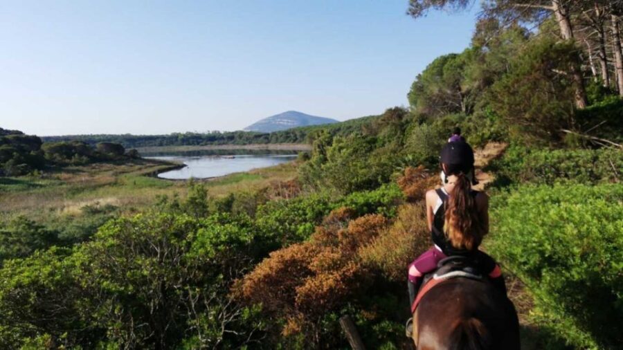 Alghero: Lake Baratz Guided Horseback Ride - The Route and What You’ll See