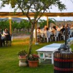 Alghero: lunch or dinner in the vineyard - The Meal: Sardinian Flavors on a Plate