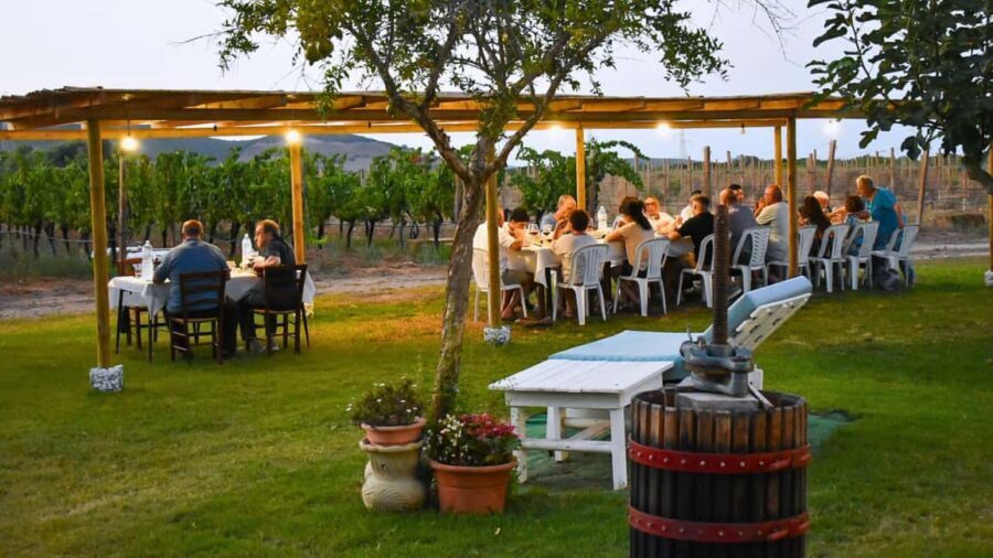 Alghero: lunch or dinner in the vineyard - The Meal: Sardinian Flavors on a Plate