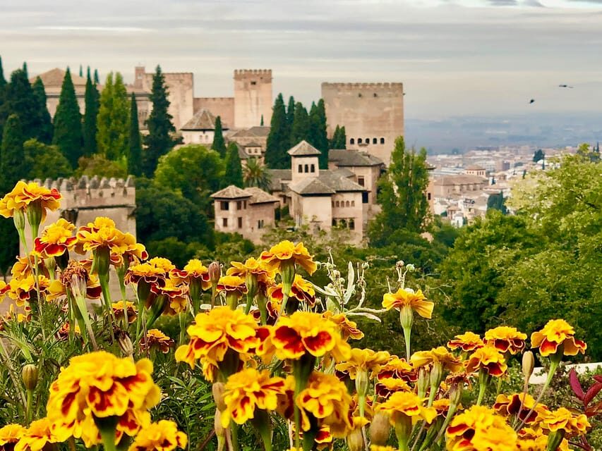 Alhambra: Guided Private Tour with Fast-Track Entry - The Value of the Experience
