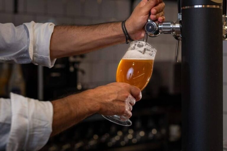 Alicante: Beer Tasting with Tapas - The Beer Selection and Tasting Experience