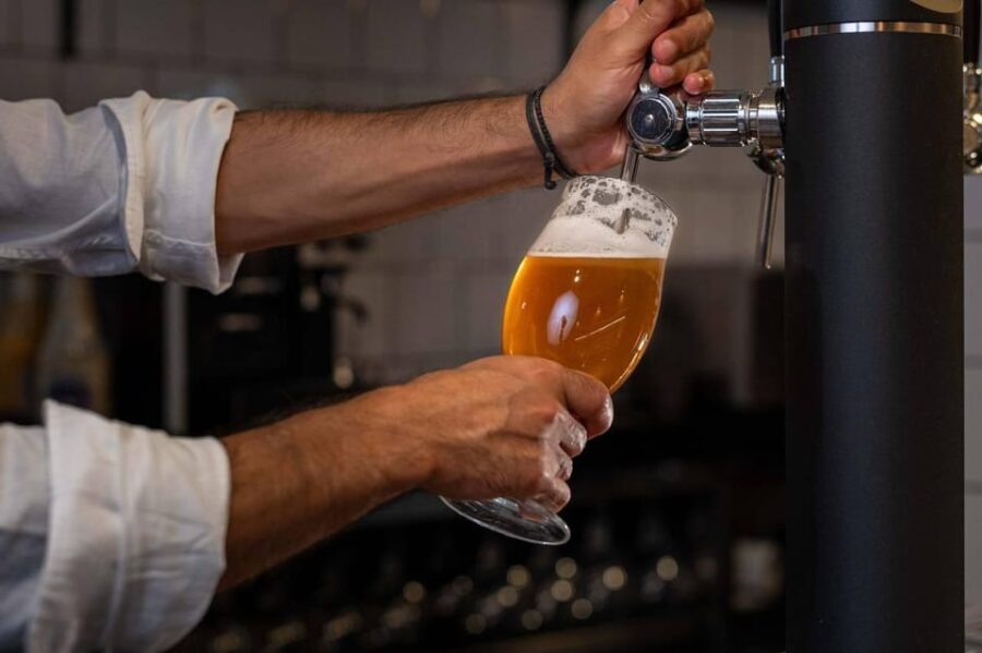 Alicante: Beer Tasting with Tapas - The Beer Selection and Tasting Experience