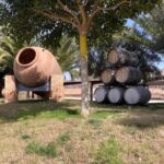 Alicante/Benidorm: Wine tasting tour,transfer,La Mola Castle - Real Traveler Insights