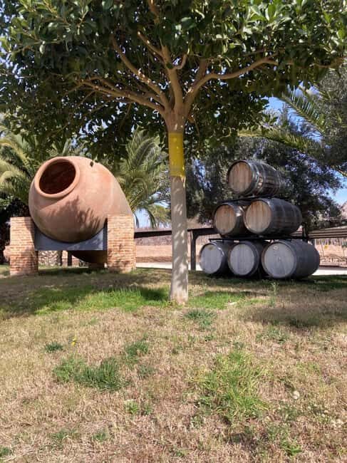 Alicante/Benidorm: Wine tasting tour,transfer,La Mola Castle - Real Traveler Insights