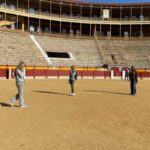 Alicante: Bullring and Bullfighting Museum Entry Ticket - The Experience of a Self-Guided Tour