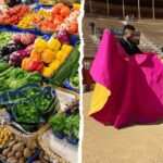Alicante: Bullring and Central Market Gastronomic Tour - Strolling to the Central Market
