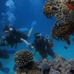 Alicante: Discover Scuba Diving Experience - Key Points