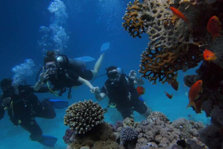 Alicante: Discover Scuba Diving Experience - Key Points