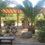 Alicante: Family Winery of Three Generations (4 testings) - The Experience in Detail