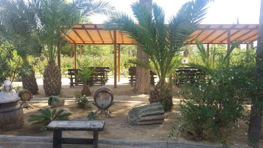 Alicante: Family Winery of Three Generations (4 testings) - The Experience in Detail