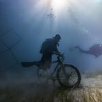 Alicante: Guided Diving Tour for Certified Divers - Breaking Down the Details