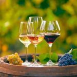 Alicante: Old Winery with Tastings & Gaudí's style of Church - Why Choose This Tour?