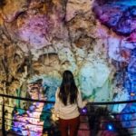 Alicante: Private visit to Cuevas del Canelobre and Flamenco Show in a van - Transport and Group Size