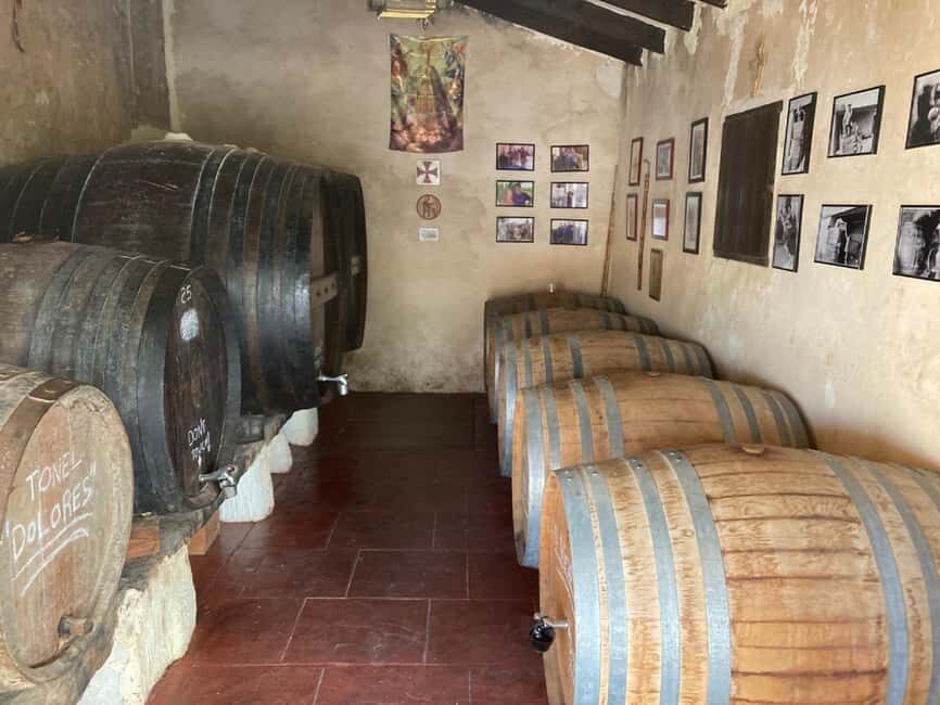 Alicante/Santa Pola -Best winery tour with tasting - The Guided Tour: A Behind-the-Scenes Look