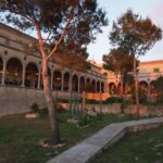 Alicante Shared Tour Old town, Elche & Huerto del Cura Grdns - Who Would Love This Tour?