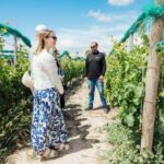Alicante: Small-Group Countryside Wine Tour with 4 Tastings - What Makes This Tour Stand Out?
