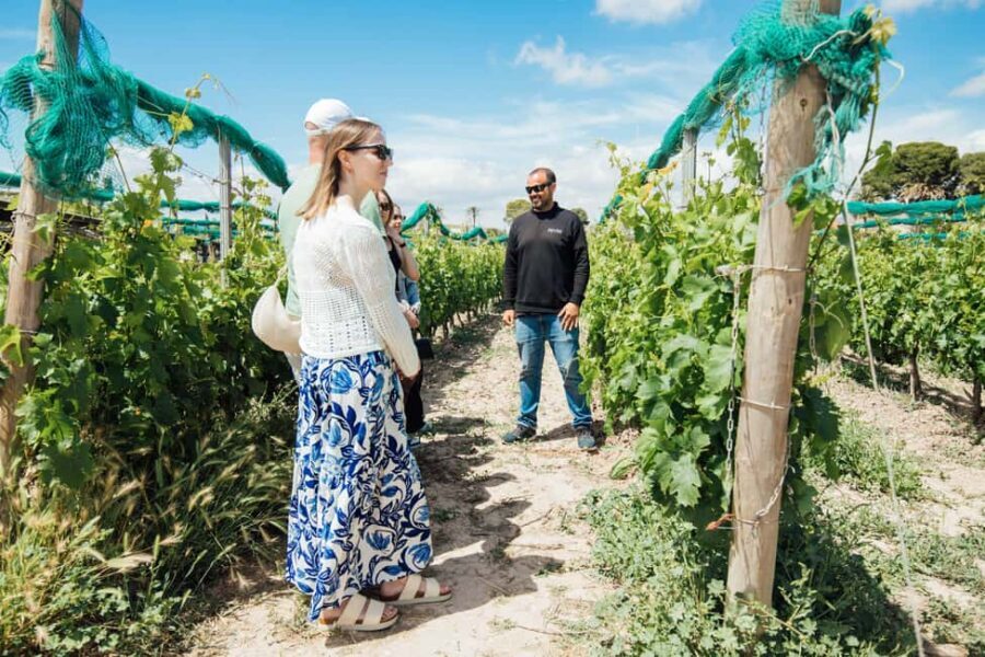 Alicante: Small-Group Countryside Wine Tour with 4 Tastings - What Makes This Tour Stand Out?