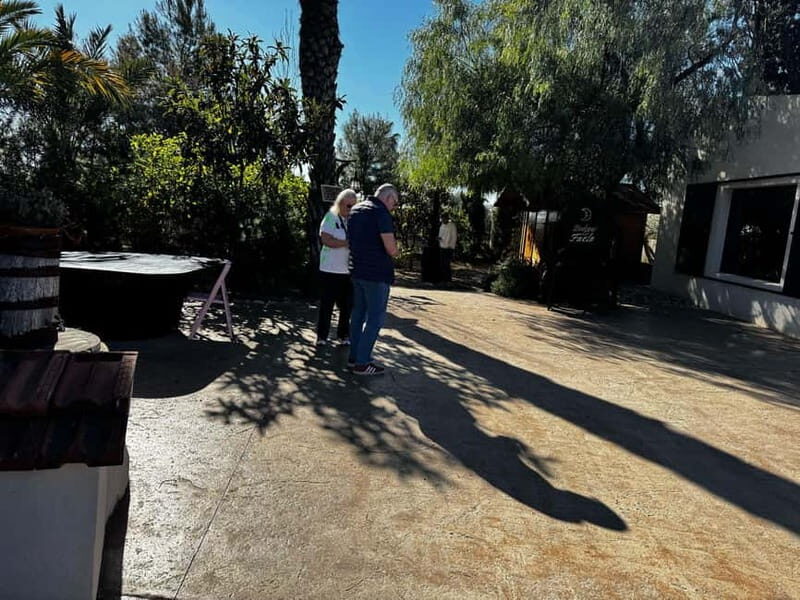 Alicante; Wine Tour, Wineries, Food, and Transfer Included - Why This Tour Works