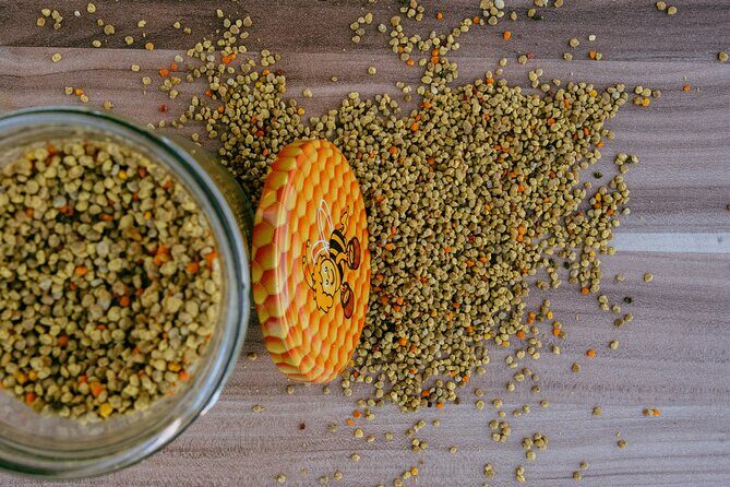 All About Bees Tour from Ljubljana - Authentic Insights from Past Travelers