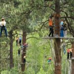 All-Day Guided Zipline Tour with Train Ride and Lunch in Durango - What to Expect from This Durango Adventure