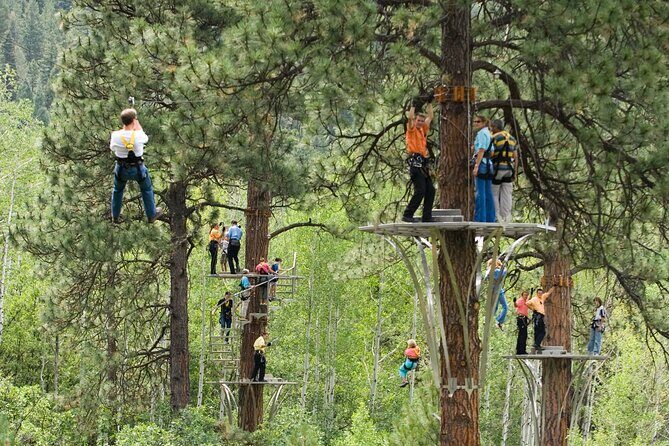 All-Day Guided Zipline Tour with Train Ride and Lunch in Durango - What to Expect from This Durango Adventure