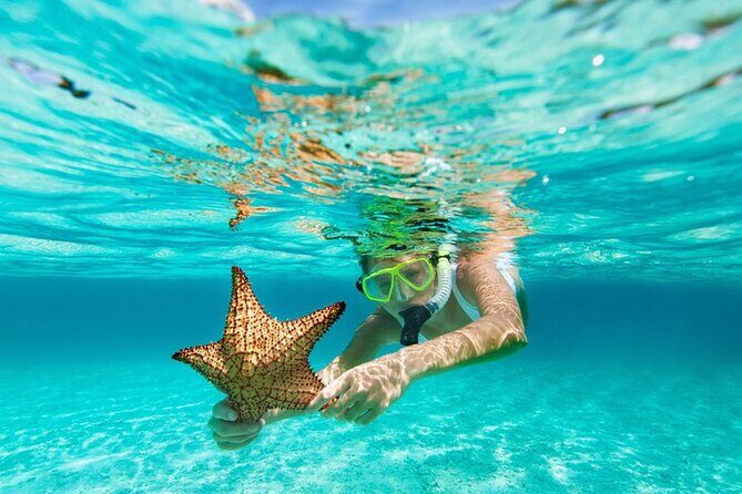 All Day Snorkel Package with Wetsuit Rental - The Marine Environment and Sightings