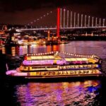 All Inclusive Bosphorus Dinner Cruise and Turkish Night Show - A Closer Look at the Experience
