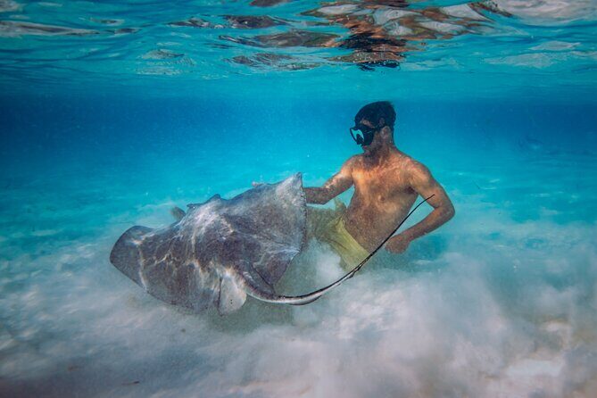 All Inclusive Cozumel: Coast & Relax 4hrs in 51" Leopard - The Itinerary: A Balance of Relaxation and Adventure