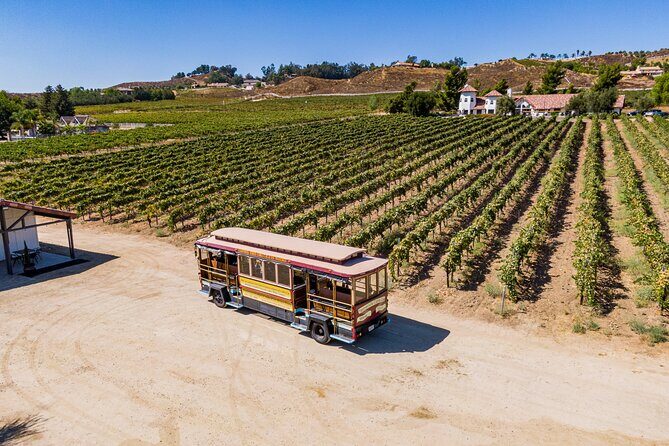 All-Inclusive Social Wine Tour - Practical Details and Considerations