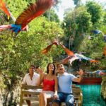 All-inclusive Xcaret Park with Transportation from Cancun & Playa Del Carmen - The Itinerary Breakdown