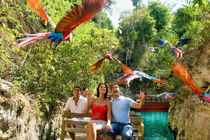 All-inclusive Xcaret Park with Transportation from Cancun & Playa Del Carmen - The Itinerary Breakdown