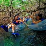 All Inclusive - Xel-Ha Park Tour from Cancún & Playa del Carmen - Practical Tips for Your Day at Xel-Ha