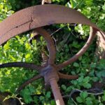 All Island Bus Tour - What the Tour Covers