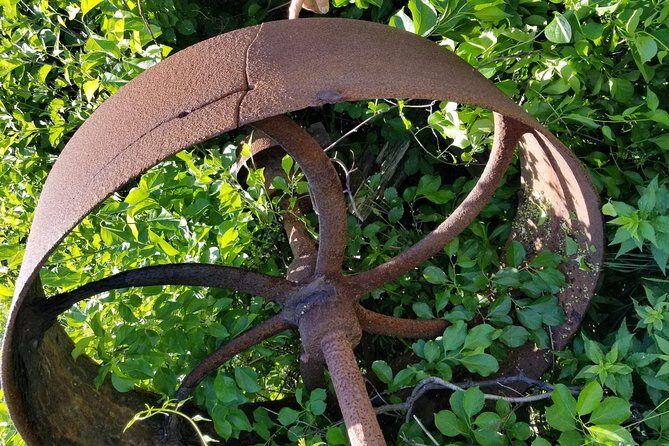 All Island Bus Tour - What the Tour Covers