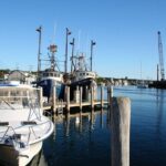 All New Shared Jaws tour Budget Friendly - Overview and Booking