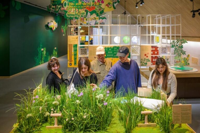 Allgäu: Rapunzel Welt Entry Ticket for Interactive Museum - Who Is This Tour Best For?