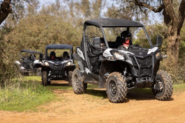 Almancil: Algarve Guided Off-Road Buggy Adventure - The Experience in Action: What Travelers Say