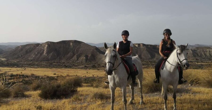 Almeria: Horse Riding Tour Through the Tabernas Desert - The Experience in Detail