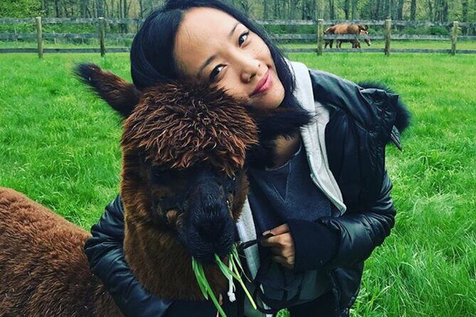 Alpaca and Llama Trek in Pleasant Valley - Authentic Voices: What Past Visitors Say
