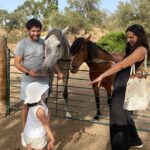 Alpaca Meet and Feed in Grândola - Who Is This Tour Best For?