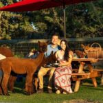 Alpaca Picnic Experience in Oregon - Practical Details and Logistics