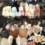 Alpaca Ranch and Fiber Processing Mill Tour - Practical Details and Tips