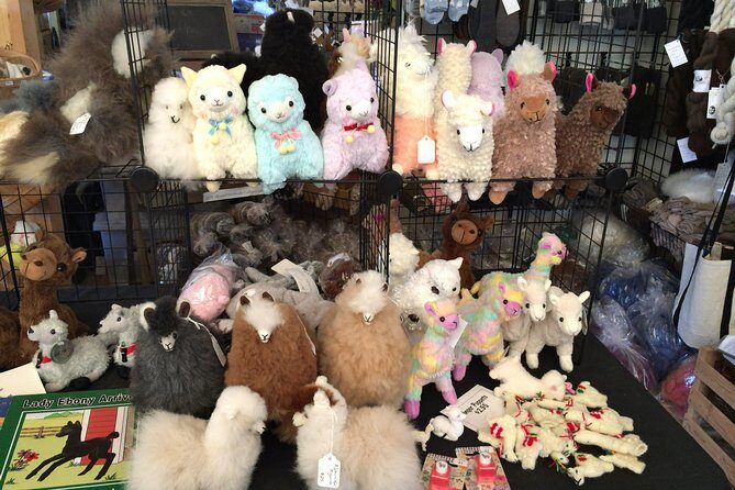 Alpaca Ranch and Fiber Processing Mill Tour - Practical Details and Tips