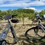 Alpilles: Discover vineyards and farms by electric bike - A Typical Day: What to Expect