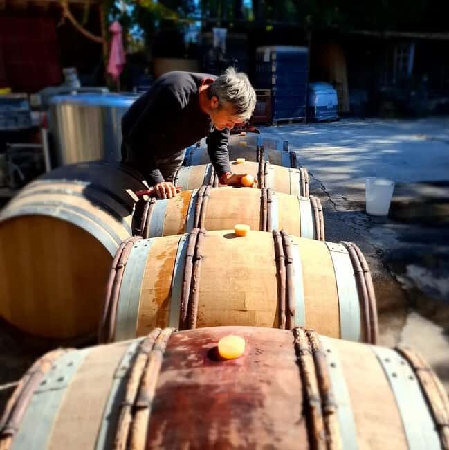 Alpilles: Discover vineyards and farms by electric bike - The Value in the Experience