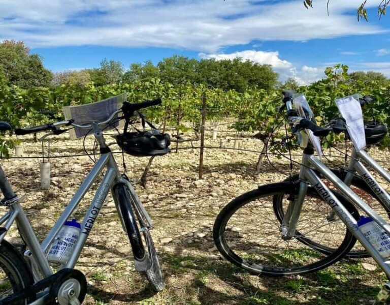 Alpilles: Discover vineyards and farms by electric bike - A Typical Day: What to Expect