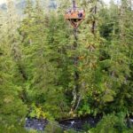 Alpine Zipline Adventure in Juneau, AK - The Scenic Appeal of Douglas Island